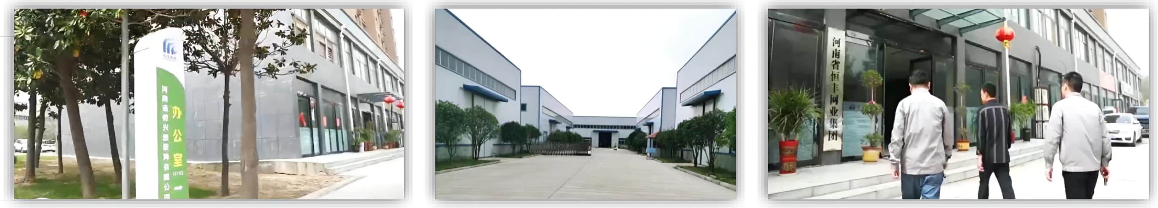 Hengfeng Mesh Factory Exterior